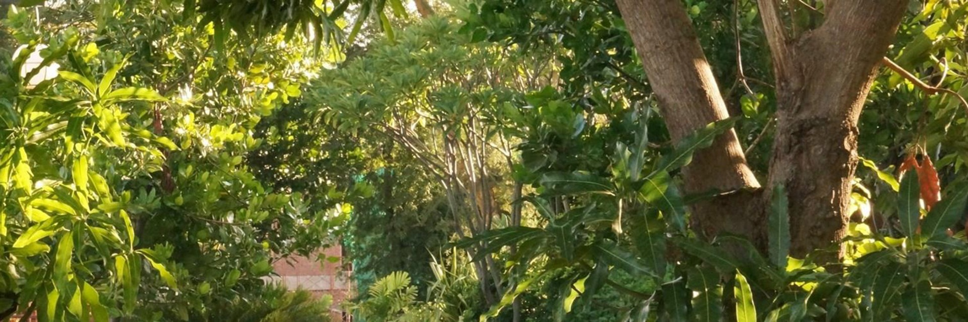 Artificial trees that look real