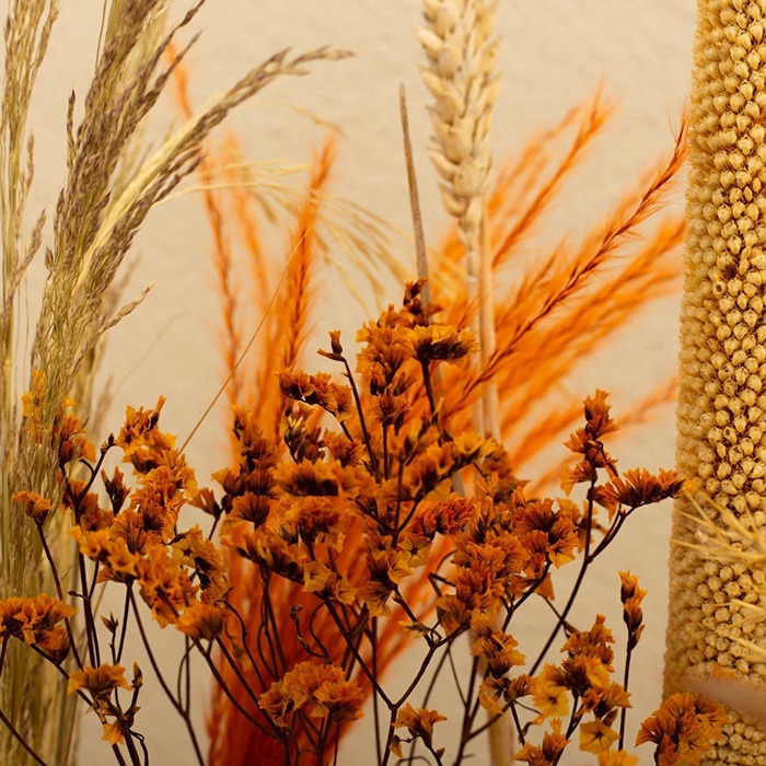Dried flowers