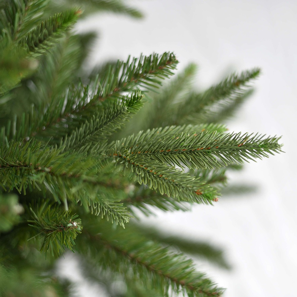 Green Christmas trees
