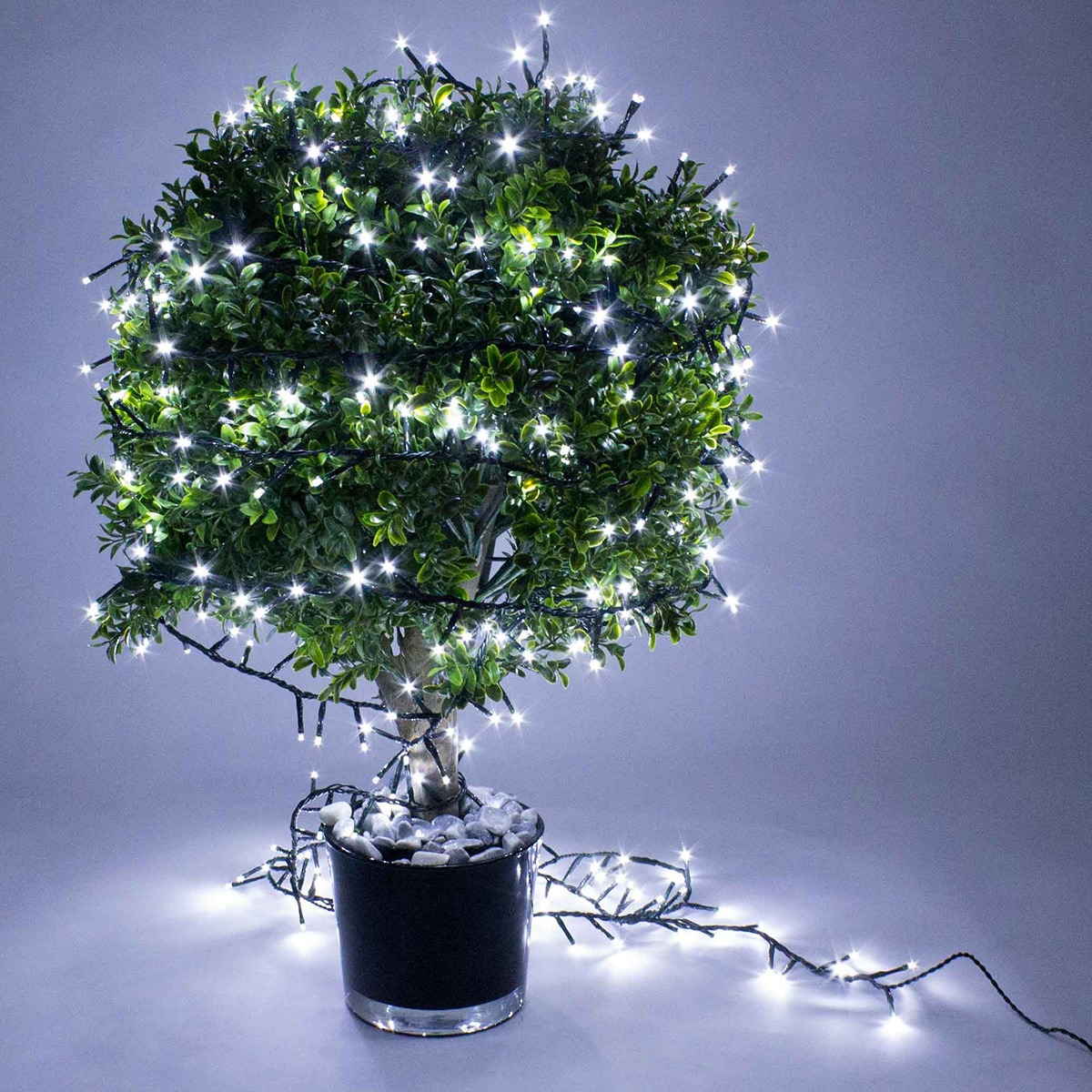 Fairy lights