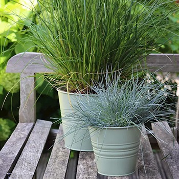 Flower pots