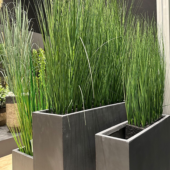 Planters as privacy screens