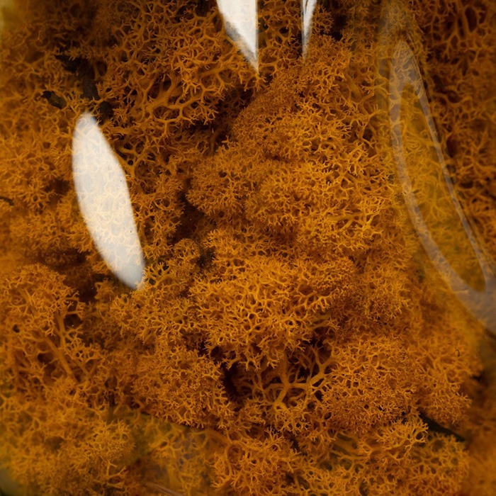 Artificial plants / dried flowers