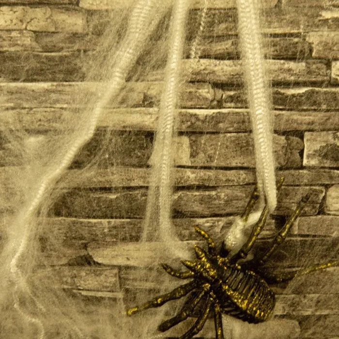 Spiders / Spider webs