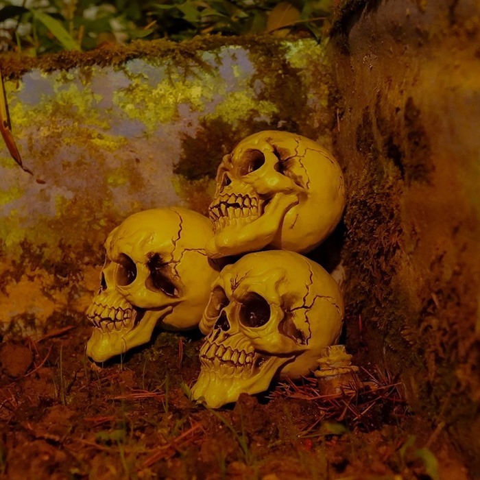 Skulls