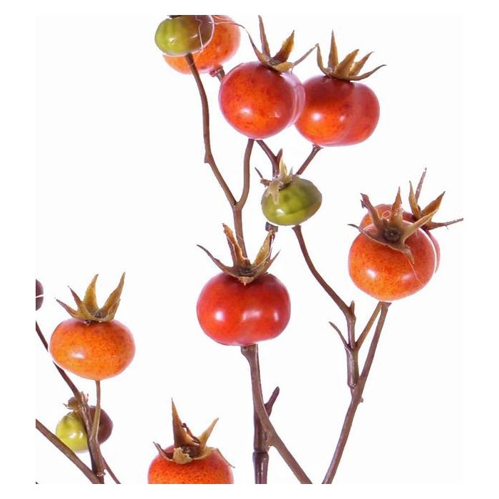 Branches for Harvest Festival