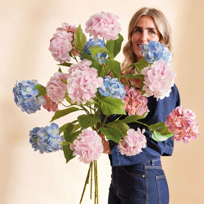 Hydrangeas in the SALE