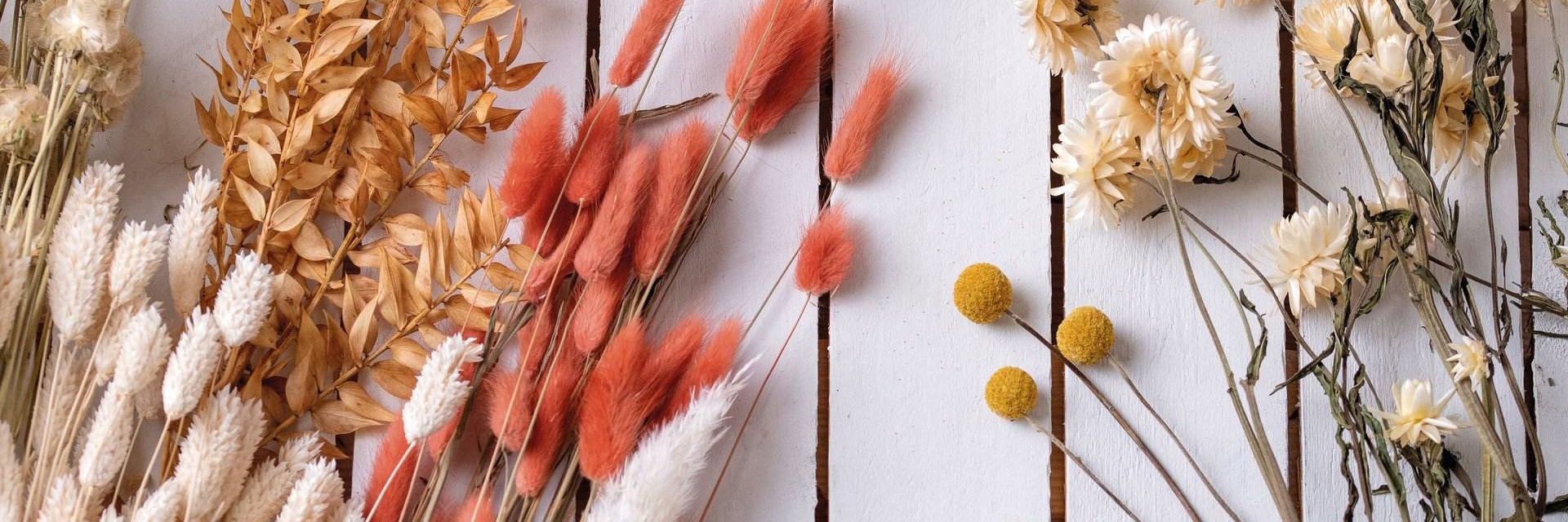 Dried flowers