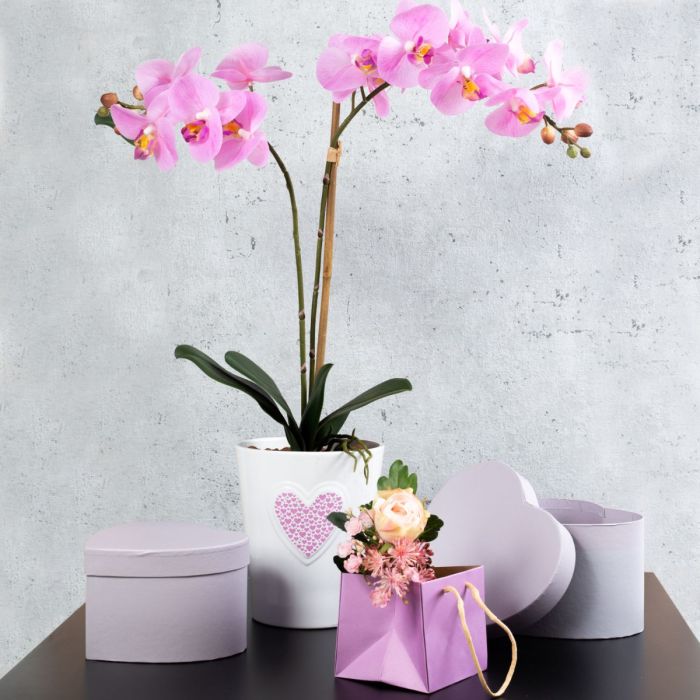 Mother's Day Surprise