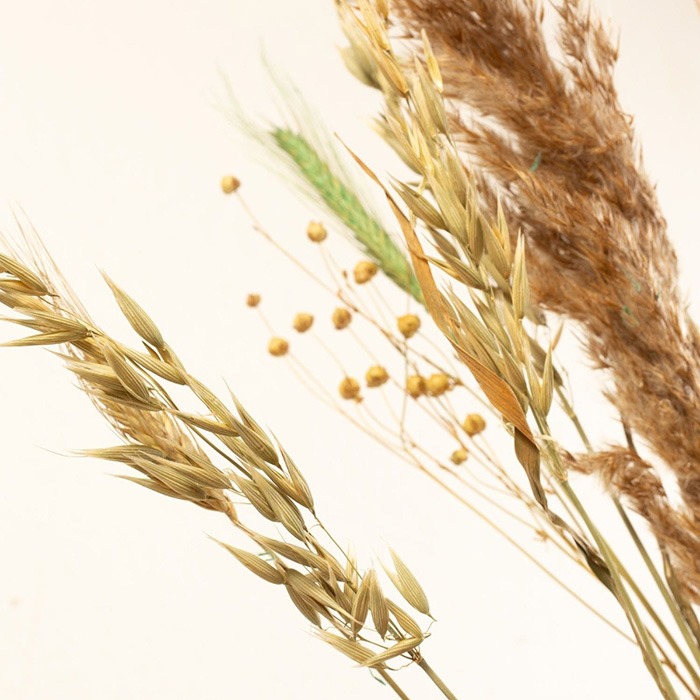 Dried flowers