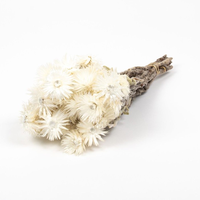 Dried flower bouquets