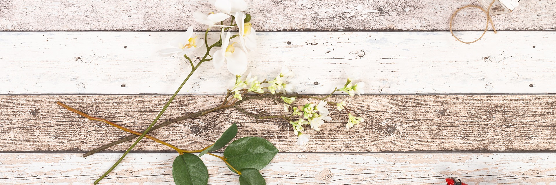 Customised orchid bouquets & arrangements