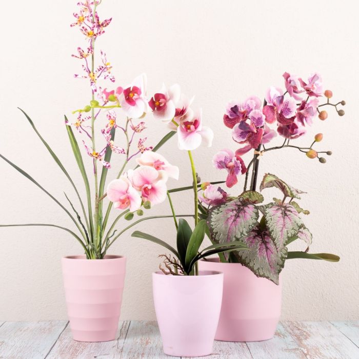 Say it with flowers part 1-3