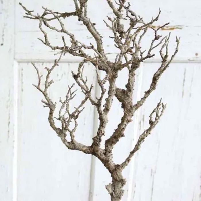 Tree branches