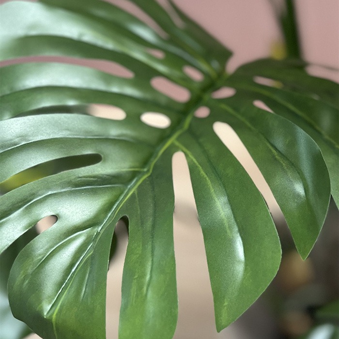Leaves