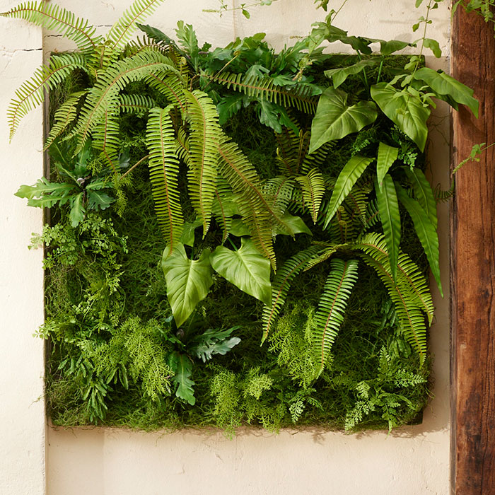 Plant walls