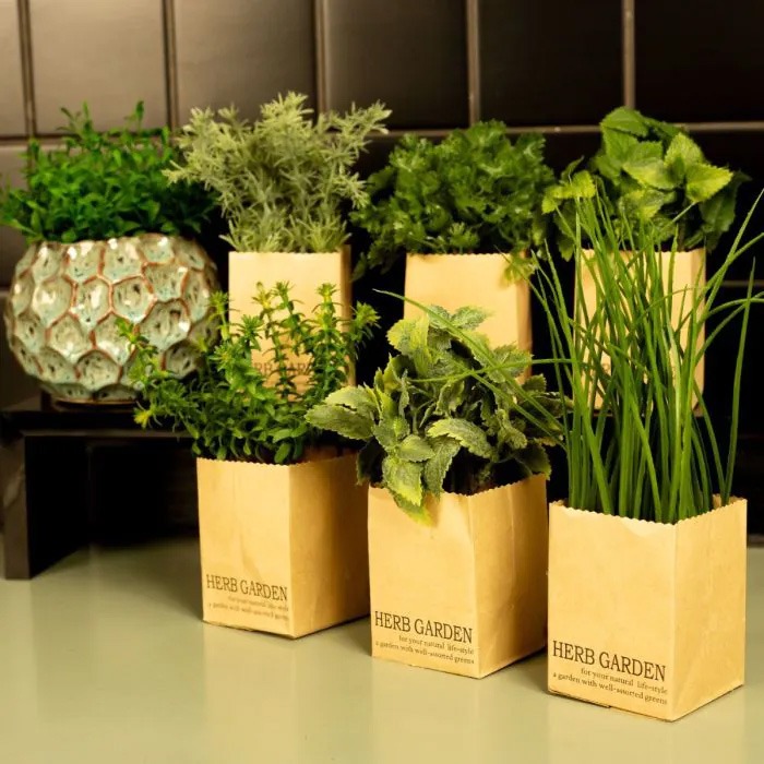 Herbs