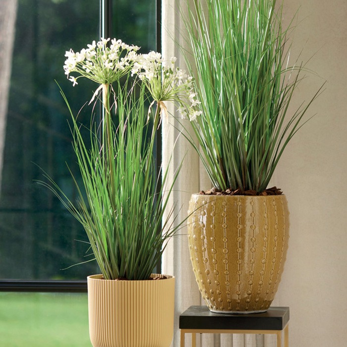 Grasses