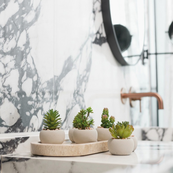 Succulents