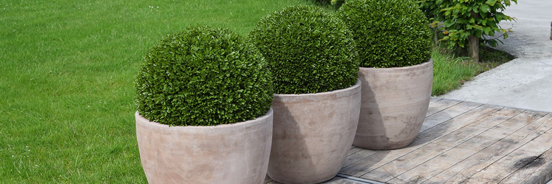 All screen dividers for your privacy