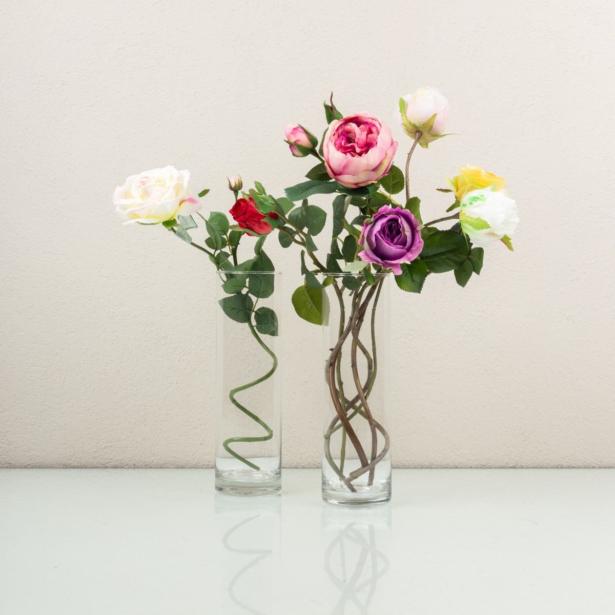 Sleeping Beauty's Choice