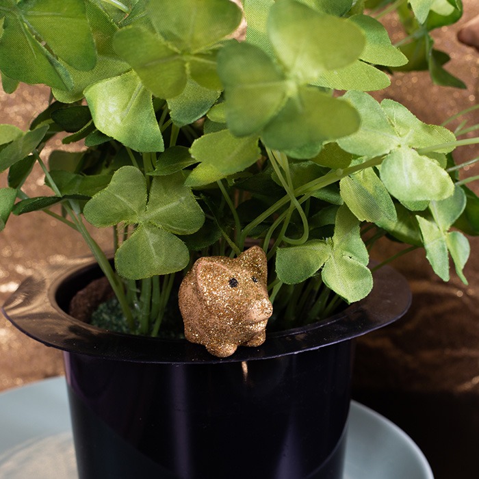 Lucky New Year plants