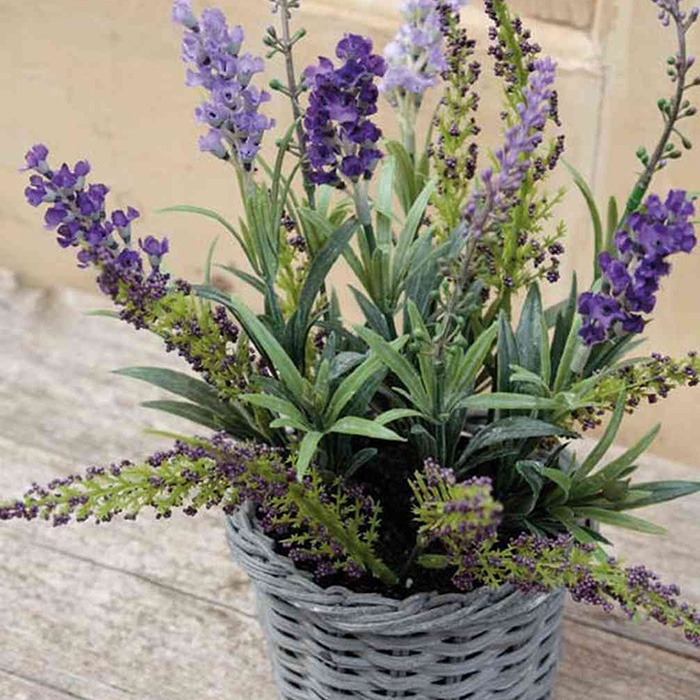 Summer floral arrangements