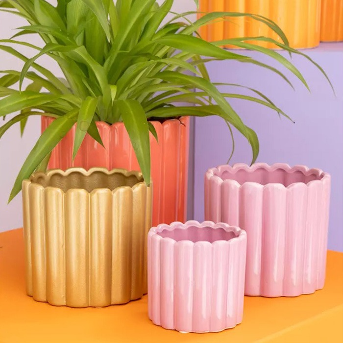 Summer flower pots