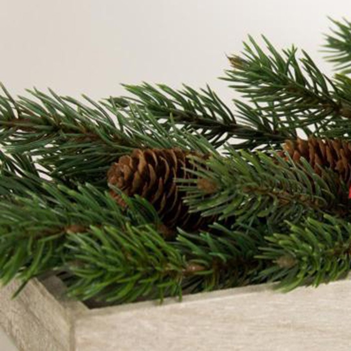 Fir branches